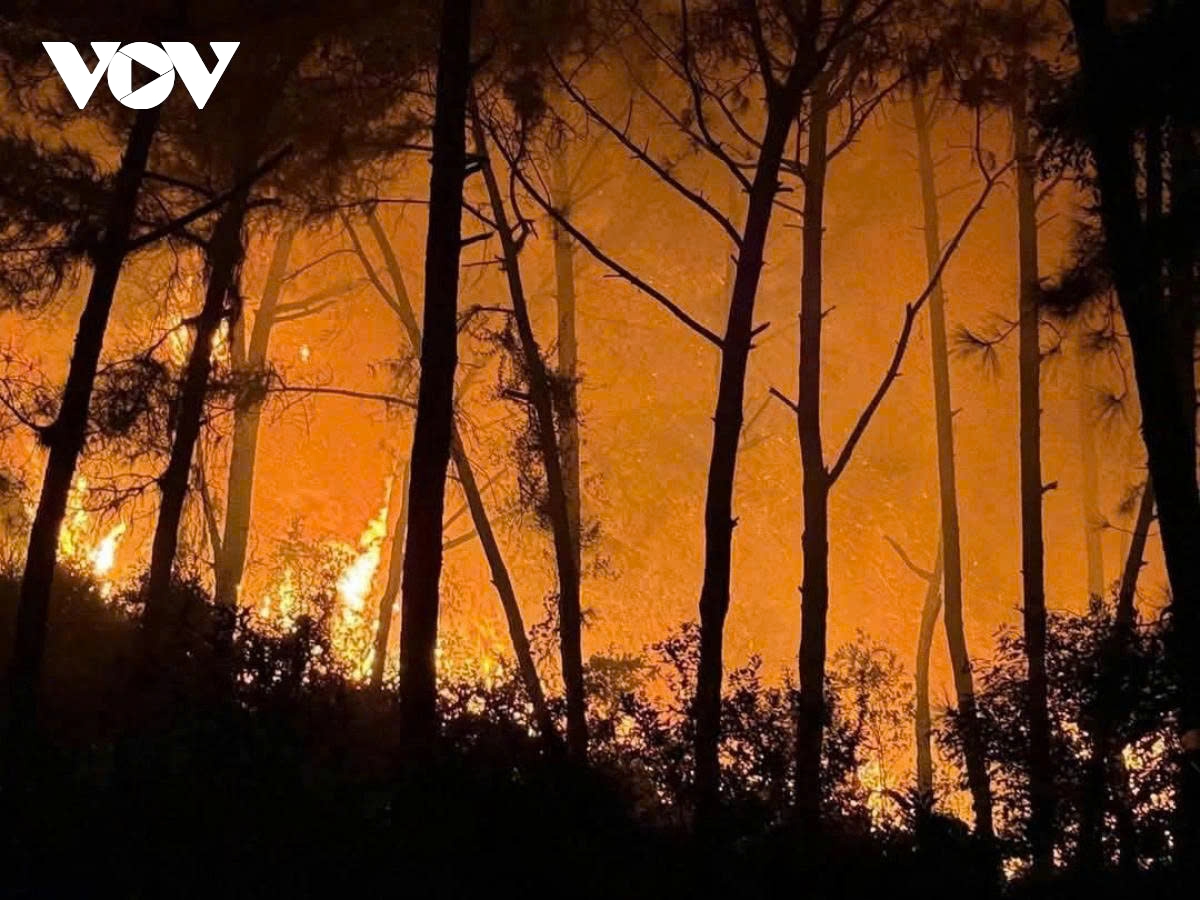 Over 400 people mobilised to contain Nghe An forest fire overnight